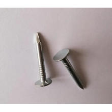 Best Price Galvanized Roofing Felt Clout Nail, Hotsale 2 Inch Plain Head Nails Polished Common Nail